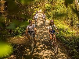 Viet Hai Village.jpeg