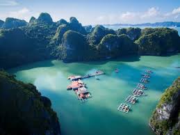 Vung Vieng Floating Village 2.jpeg